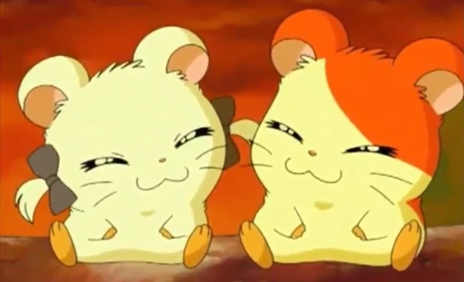 Hamtaro Ham Ham Friends