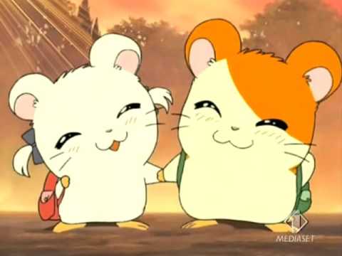 Hamtaro