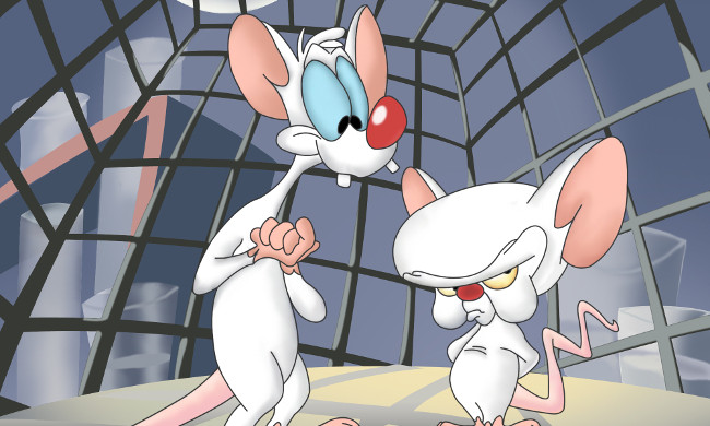 Pinky and the Brain (Mignolo e Prof.)